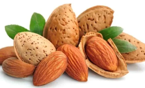 কাঠ বাদাম